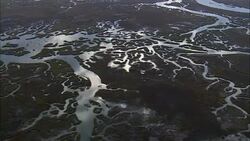 Flight With Reflections In Salt Marsh Creeks  - Aerial View - South Carolina,  Charleston County,  United States Stock Footage