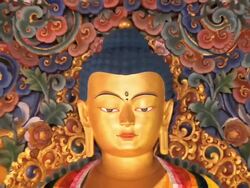 MS ZO Eyes of Buddha statue / Gaya, Bihar, India Stock Footage