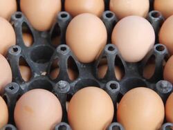 Buying eggs. Stock Footage