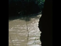 CUTS 13/10/80 KHMER ROUGE CAMP IN PHNOM MALAI AREA AT THAI / CAMBODIAN BORDER News Clip