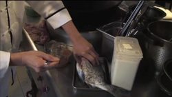 Chef grows own organic ingredients News Clip