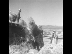 CAN 217 BACKGROUNDER ON LIFE IN ALGIERS News Clip