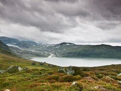 Into the fog Stock Footage