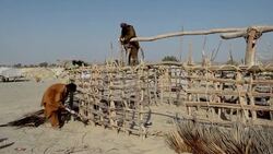 CLEAN : Pakistan: struggle to find blast survivors News Clip