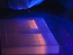 Scientist and bio lab experiment Stock Footage