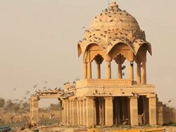 Birds perching on architectural structure, Gadisar Lake, Jaisalmer, Rajasthan, India Stock Footage