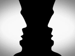 Optic illusion profiles Stock Footage