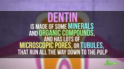 How Do Desensitizing Toothpastes Work? Instructional Video