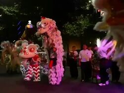 Chinese New Year Twilight Parade Stock Footage