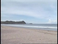 NICARAGUA: TURTLES FACE THREAT FROM HUNGRY PEASANTS News Clip