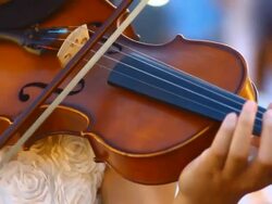 play violin Stock Footage