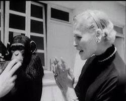 MONTE CARLO SCENE News Clip