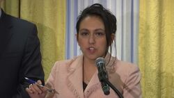 Brothers sue Smollett's lawyers for defamation Instructional Video