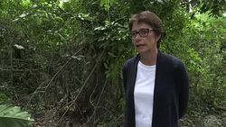 VOICED : Guatemala vigila reserva maya con pionero sistema satelital News Clip