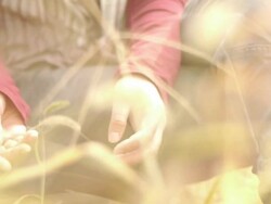 Hand caressing the grass Stock Footage