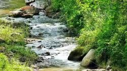 Stream of flowing River Stock Footage
