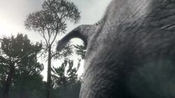 A dinosaur eats a tall tree. Stock Footage