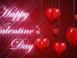 Happy Valentine's Day Stock Footage