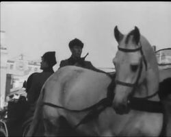 FIFTY YEARS News Clip