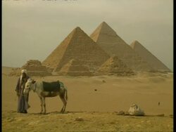 MS Arab man standing with donkey, 3 pyramids in background, Egypt Stock Footage