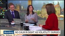 Strong and Flexible: The Bamboo Investment Strategy News Clip