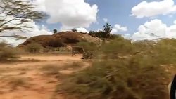 Driving Shot, African Savannah Plains, Nairobi News Clip