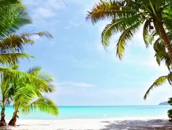 Gate to the beach Stock Footage