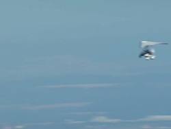 MS AERIAL TS ZO View of paragliding kite approaching to city / Ellwangen, Baden Wurttemberg Stock Footage