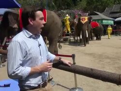 Embarrassment For Prince William At Elephant Sanctuary News Clip