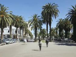 MS T/L  View of car's passing through road  / Casablanca, Morocco Stock Footage