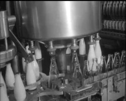 PACKA PLASTIC PINTA News Clip