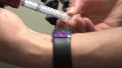 Researchers Study Marijuana to Treat Ailing Dogs News Clip