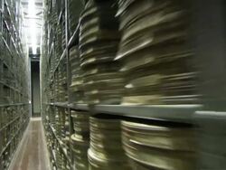 WS Scene of snowy landscape with splintered trees / Wyoming, USA Stock Footage