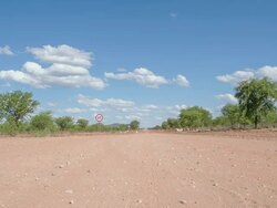 WS DS Road In Savannah Stock Footage