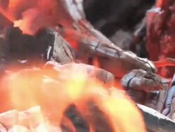 Campfire Closeup in HD Stock Footage