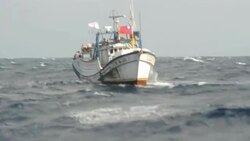 VOICED : Tension por islas en Oriente News Clip