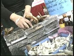 WILDLIFE TRADE ON TABLE IN GLOBAL TALKS News Clip