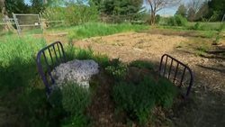 Part social movement, part economics and all food. Growing numbers of millennials are embracing gardening, rethinking how they relate to growing their own food and at the same time are reshaping the urban landscapes. (May 9) News Clip