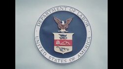 News Item (e84872ce-2b5c-65f2-a168-4460f7a7d43e) Instructional Video