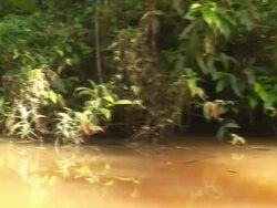 Tortuguero Channel Stock Footage