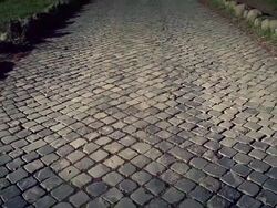 The Appian way in Rome, or Via Appia Antica Stock Footage