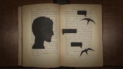 TED-ED: Mysteries of vernacular: Inaugurate - Jessica Oreck Instructional Video