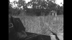 US soldiers test firing machine guns on amphibious vehicles in marsh in 1950s News Clip