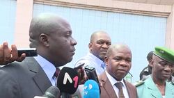 VOICED : Researchers in S.Africa look at pangolins and climate change News Clip