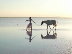 dream on the water Stock Footage