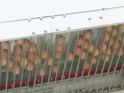 MS Eggs moving on conveyor belt / Anseong, Gyeonggi-do, South Korea Stock Footage