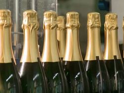 CU Champagne bottles on production line / Wiltingen, Saar-Valley, Rhineland-Palatinate, Germany Stock Footage