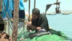 CLEAN : Israel eases restrictions on Gaza fishermen: officials News Clip