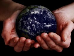 Earth Growing in Hands Stock Footage
