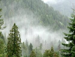 Fog has been formed near the mountains Stock Footage